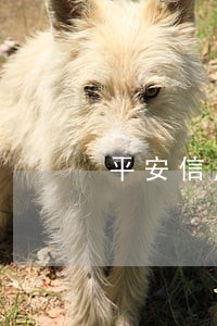 平安信用卡还款日逾期一周