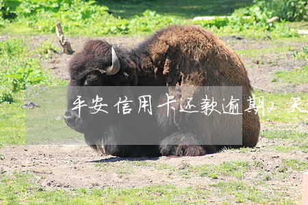 平安信用卡还款逾期2天 平安信用卡还款逾期2天