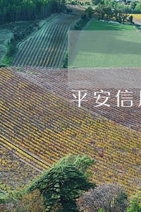 平安信用卡还款逾期一天 平安信用卡还款逾期一天