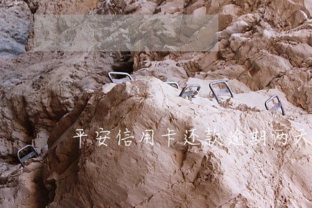 平安信用卡还款逾期两天