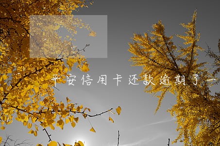 平安信用卡还款逾期了一天 平安信用卡还款逾期了一天