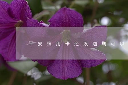 平安信用卡还没逾期可以协商 平安信用卡还没逾期可以协商