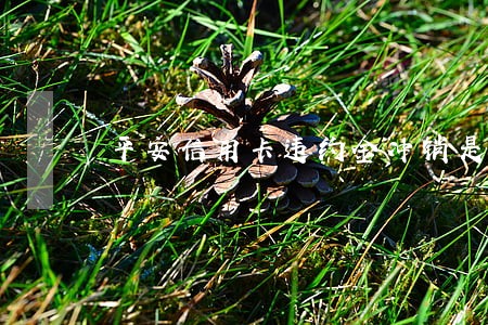平安信用卡违约金冲销是逾期了吗