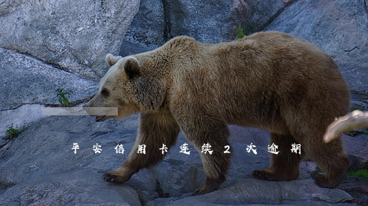 平安信用卡连续2次逾期