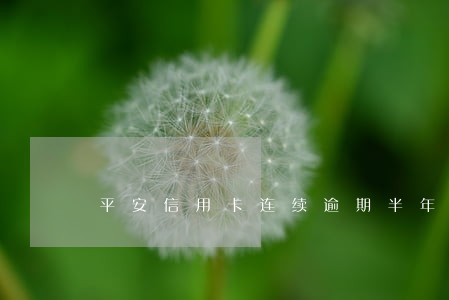 平安信用卡连续逾期半年 平安信用卡连续逾期半年