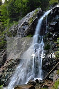 平安信用卡逾期100天 平安信用卡逾期100天