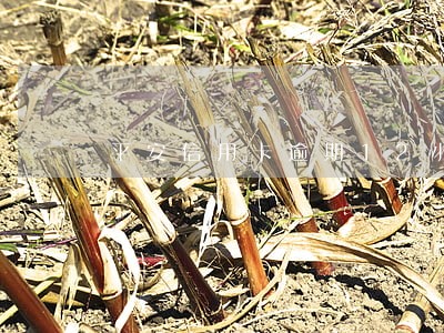 平安信用卡逾期12小时 平安信用卡逾期12小时