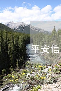 平安信用卡逾期13天还款日期 平安信用卡逾期13天还款日期