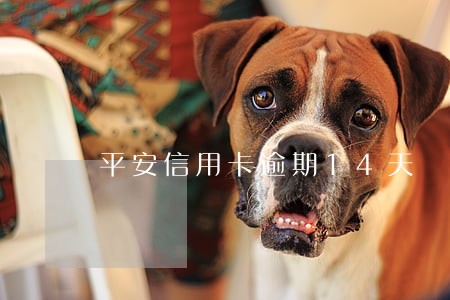 平安信用卡逾期14天 平安信用卡逾期14天
