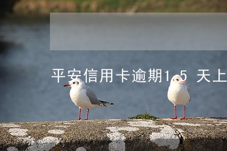 平安信用卡逾期15天上征信吗 平安信用卡逾期15天上征信吗