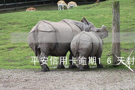 平安信用卡逾期16天封卡 平安信用卡逾期16天封卡
