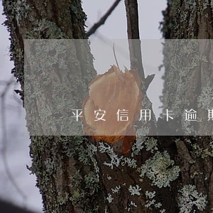 平安信用卡逾期1个月怎么解决
