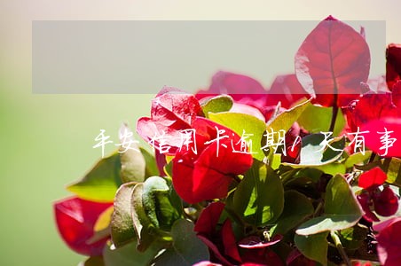 平安信用卡逾期1天有事吗 平安信用卡逾期1天有事吗