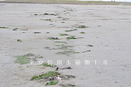 平安信用卡逾期1年