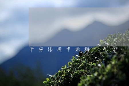 平安信用卡逾期1年了 平安信用卡逾期1年了