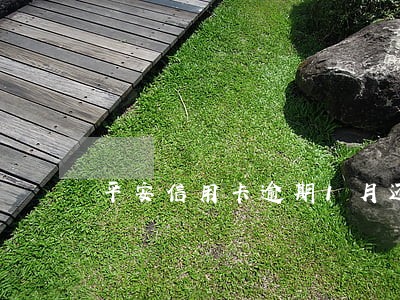 平安信用卡逾期1月还能用吗 平安信用卡逾期1月还能用吗