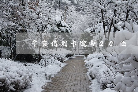 平安信用卡逾期20他會怎么樣 平安信用卡逾期20他會怎么樣