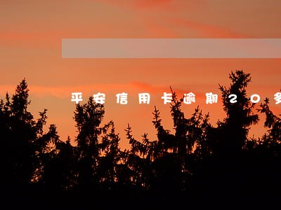 平安信用卡逾期20多天