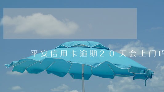 平安信用卡逾期20天会上门吗