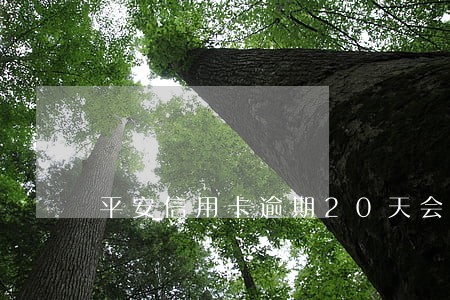 平安信用卡逾期20天会怎么样
