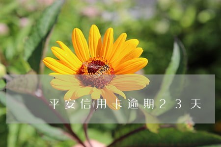 平安信用卡逾期23天 平安信用卡逾期23天