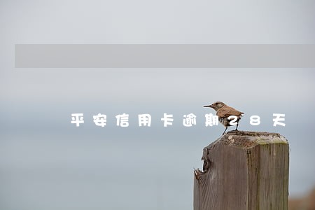 平安信用卡逾期28天 平安信用卡逾期28天