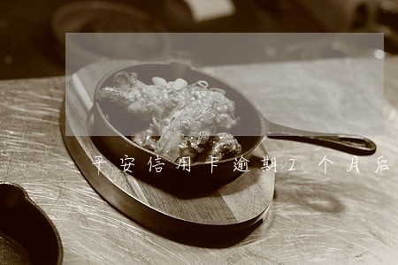 平安信用卡逾期2个月后果及补救 平安信用卡逾期2个月后果及补救