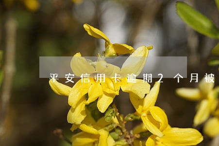 平安信用卡逾期2个月被催收 平安信用卡逾期2个月被催收