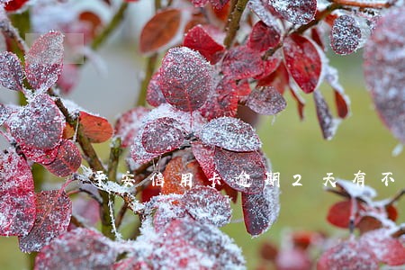 平安信用卡逾期2天有不良记录吗 平安信用卡逾期2天有不良记录吗