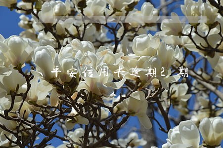 平安信用卡逾期2期 平安信用卡逾期2期