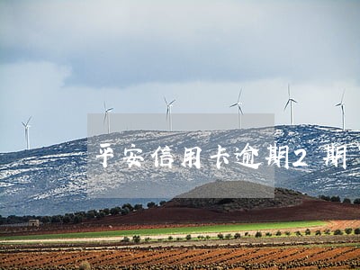 平安信用卡逾期2期了