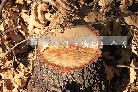 平安信用卡逾期3个月会外访嘛