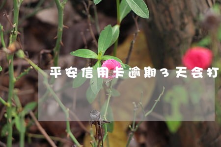 平安信用卡逾期3天会打电话吗 平安信用卡逾期3天会打电话吗