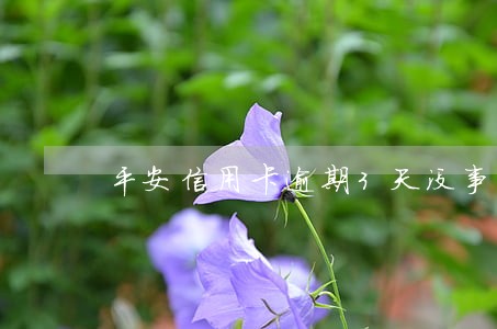平安信用卡逾期3天没事吧