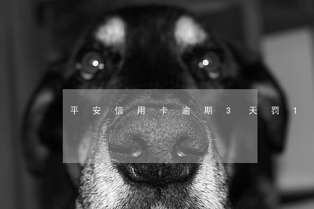 平安信用卡逾期3天罚1000 平安信用卡逾期3天罚1000