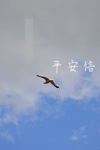 平安信用卡逾期46天