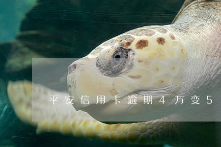 平安信用卡逾期4万变5万 平安信用卡逾期4万变5万