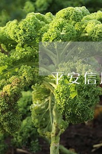 平安信用卡逾期4个月上门