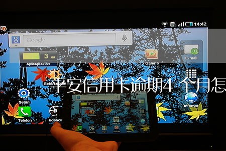 平安信用卡逾期4个月怎么处理 平安信用卡逾期4个月怎么处理