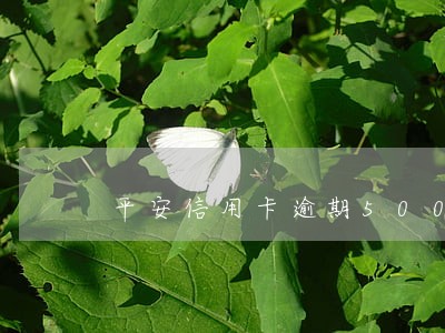 平安信用卡逾期5000三个月了