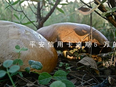 平安信用卡逾期5万的有吗 平安信用卡逾期5万的有吗
