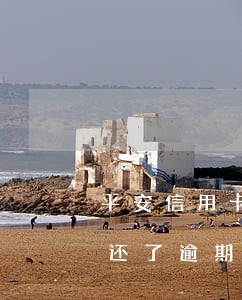 平安信用卡逾期5天才还(平安信用卡忘了还了逾期十天)