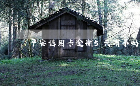 平安信用卡逾期5天有事吗