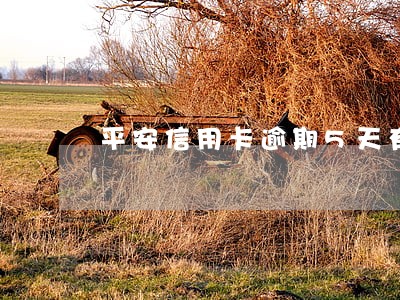 平安信用卡逾期5天有什么后果 平安信用卡逾期5天有什么后果