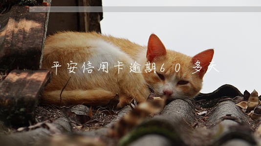 平安信用卡逾期60多天