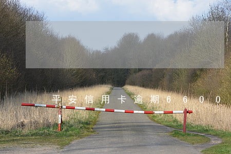 平安信用卡逾期6600 平安信用卡逾期6600
