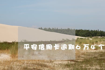 平安信用卡逾期6万4个月