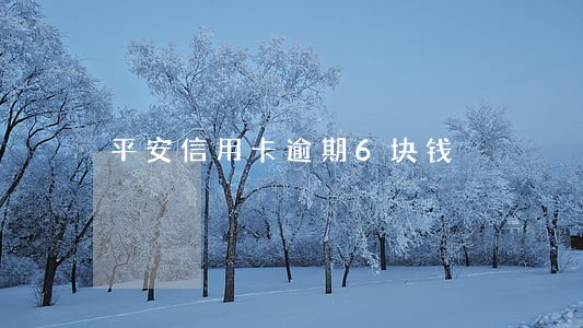 平安信用卡逾期6块钱 平安信用卡逾期6块钱