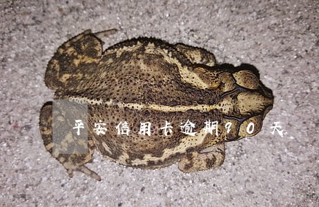 平安信用卡逾期90天 平安信用卡逾期90天