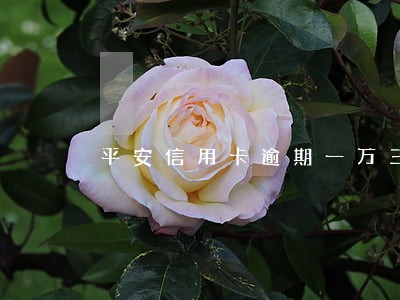 平安信用卡逾期一万三个月 平安信用卡逾期一万三个月